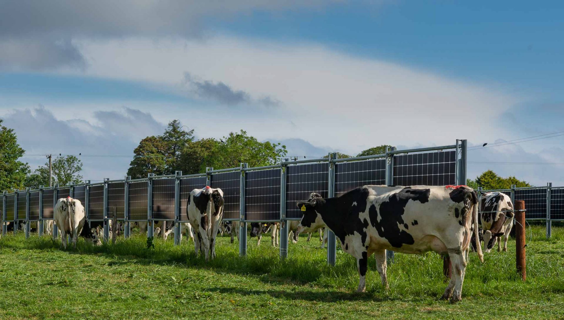 Farrell’s Dairy Farm Waterford