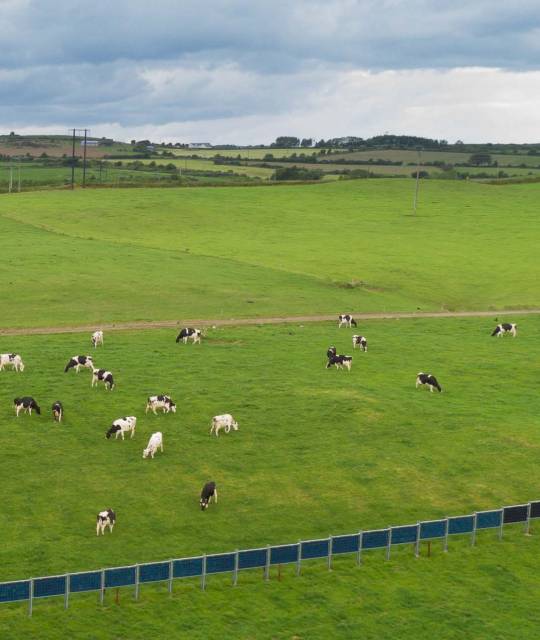 Solar PV for Farms