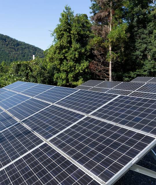 View of ground mounted solar panels with trees in the background